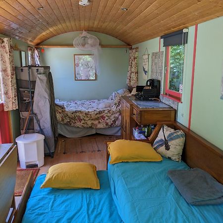 Rosa The Cosy Cabin - Gypsy Wagon - Shepherds Hut, River Views Off-Grid Eco Living เปโดรเกา กรันเจ ภายนอก รูปภาพ