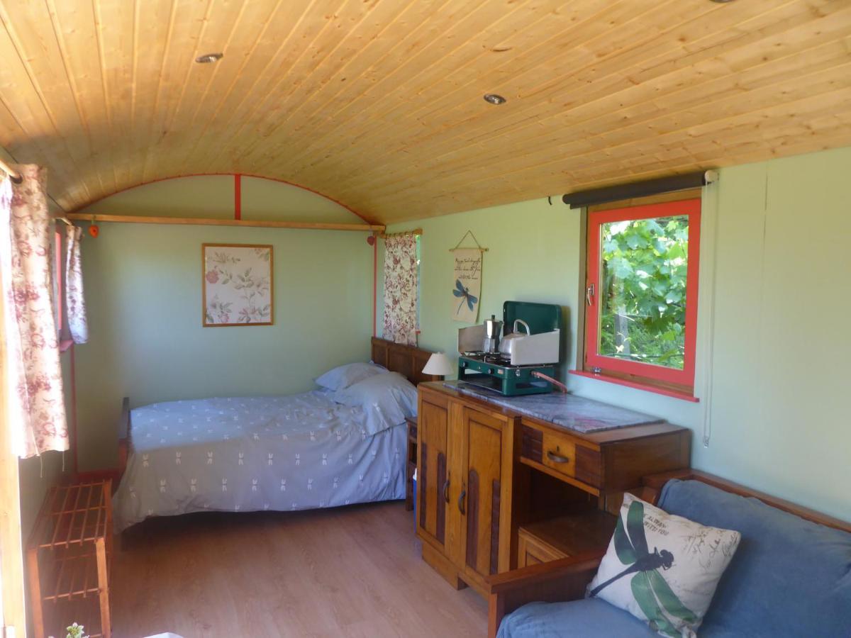 Rosa The Cosy Cabin - Gypsy Wagon - Shepherds Hut, River Views Off-Grid Eco Living เปโดรเกา กรันเจ ภายนอก รูปภาพ