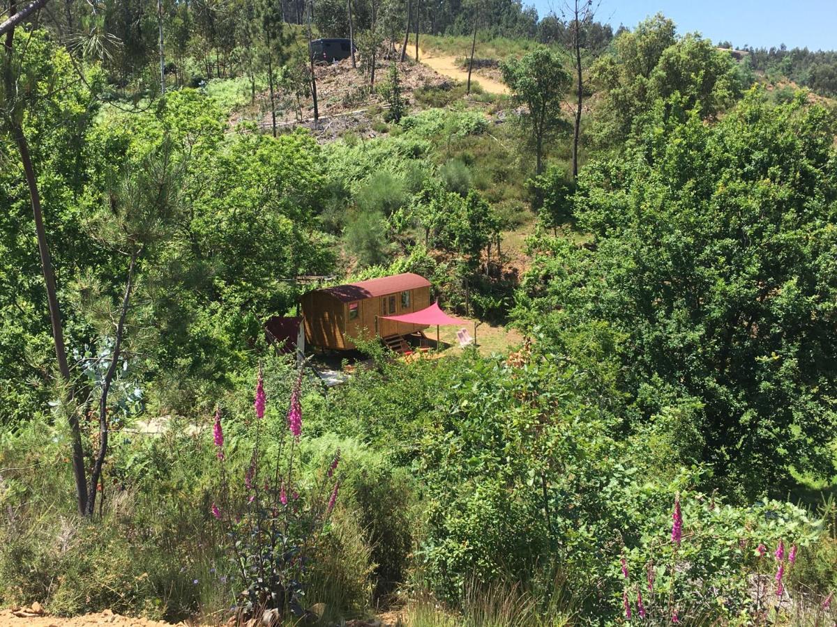Rosa The Cosy Cabin - Gypsy Wagon - Shepherds Hut, River Views Off-Grid Eco Living เปโดรเกา กรันเจ ภายนอก รูปภาพ