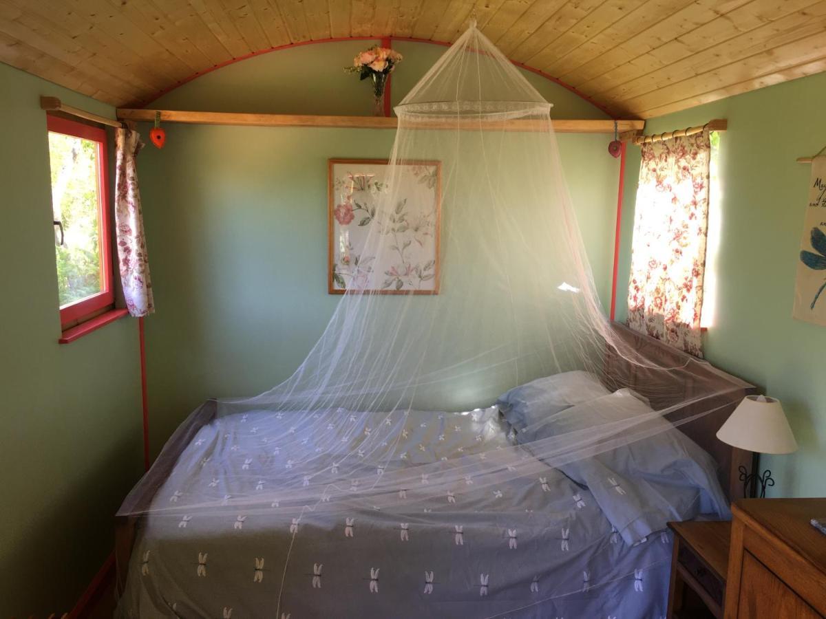 Rosa The Cosy Cabin - Gypsy Wagon - Shepherds Hut, River Views Off-Grid Eco Living เปโดรเกา กรันเจ ภายนอก รูปภาพ