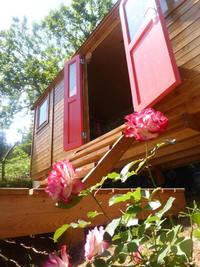 Rosa The Cosy Cabin - Gypsy Wagon - Shepherds Hut, River Views Off-Grid Eco Living เปโดรเกา กรันเจ ภายนอก รูปภาพ